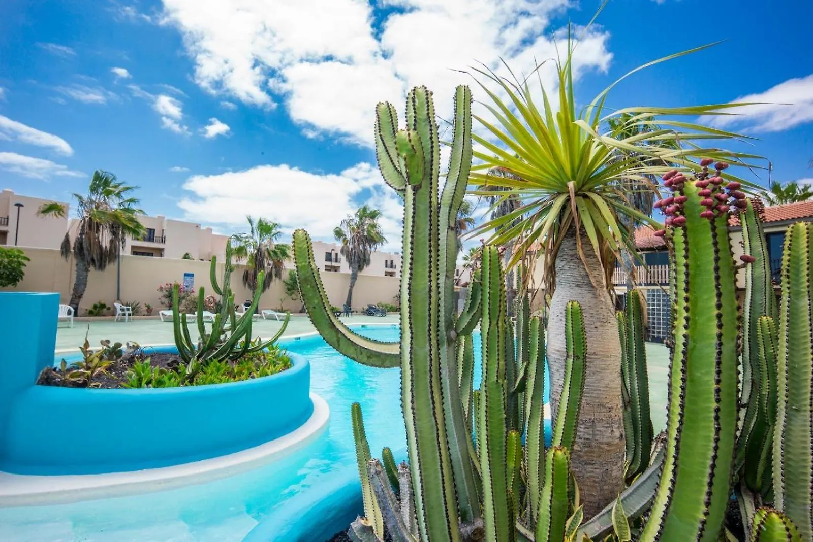 Appartement Casa De Los Girasoles à Parque Holandes