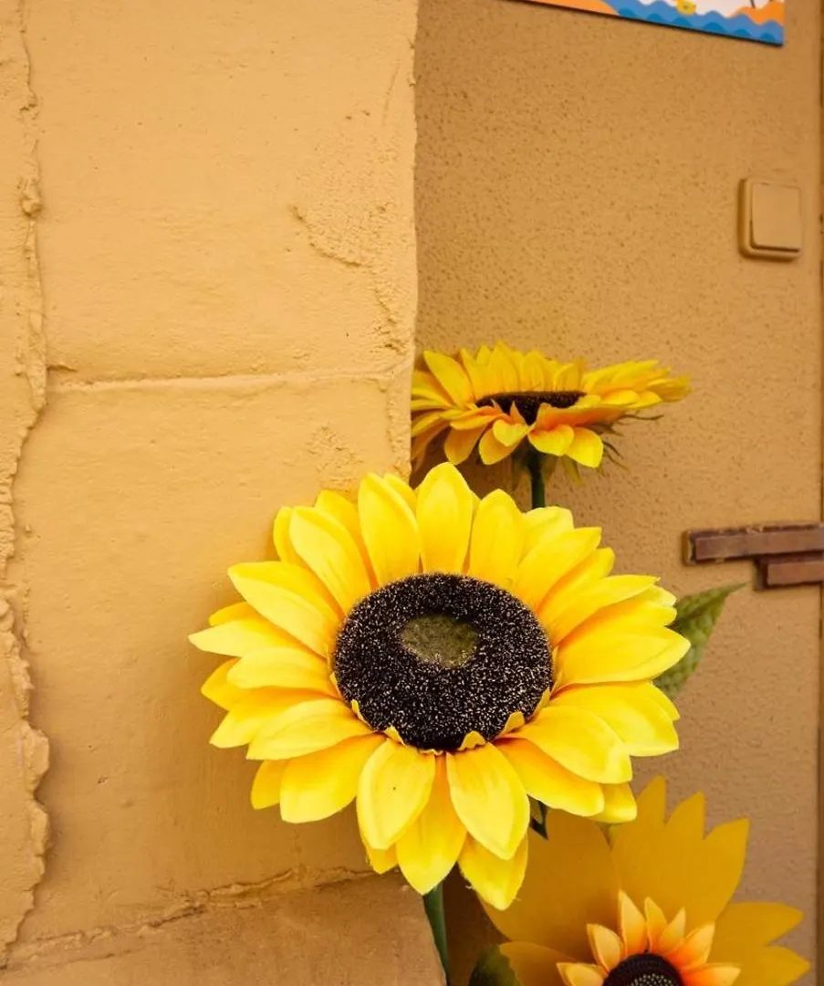 Appartement Casa De Los Girasoles à Parque Holandes